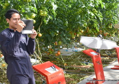 De Flapper Drone in actie in de kas.